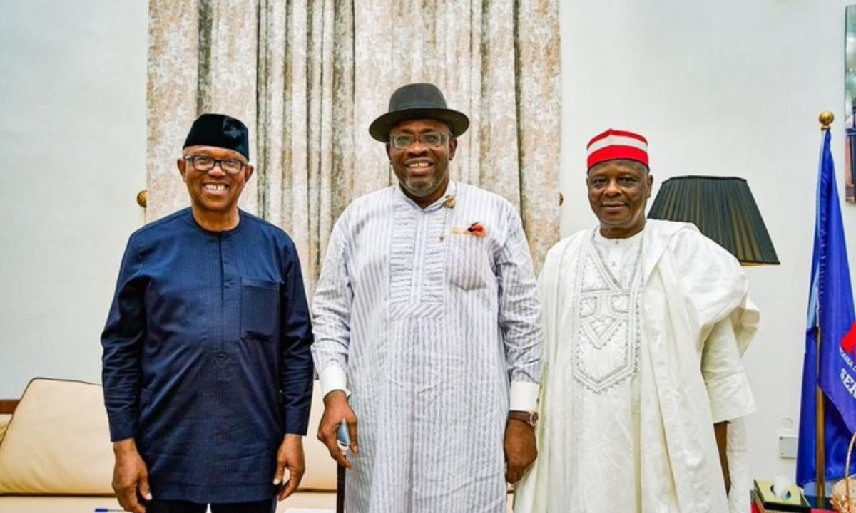 Source image for Nigeria Democratic Congress Appoints Dickson, Obi, and Kwankwaso to Direct 2027 Campaign